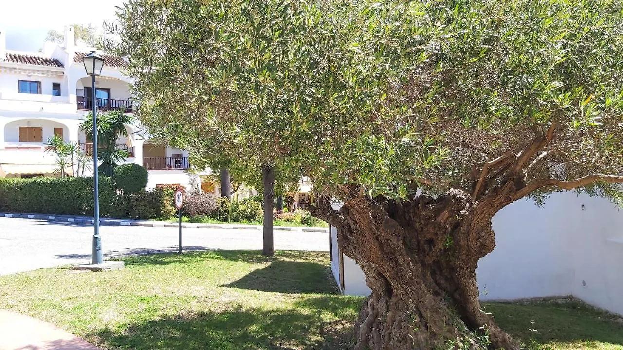 Del Parque Flats Le Village Marbella Golf Spain